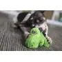 goDog Just For Me TRex With Chew Guard, Green goDog Just For Me TRex With Chew Guard, Green