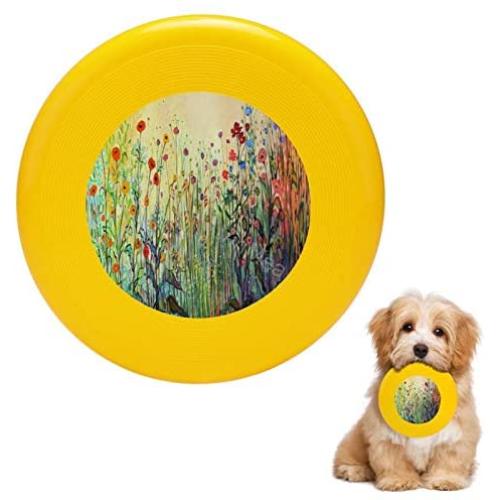 Pet Frisbee Flying Disc Dog Toy - Multifunction Summer Joy Jennifer Lommers