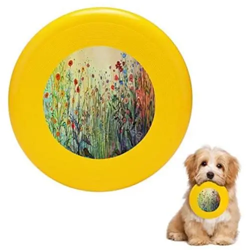Pet Frisbee Flying Disc Dog Toy - Multifunction Summer Joy Jennifer Lommers Pet Frisbee Flying Disc Dog Toy - Multifunction Summer Joy Jennifer Lommers