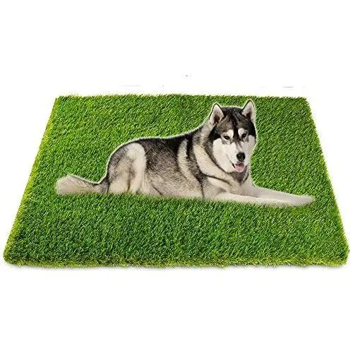 Artificial Grass, Professional Dog Grass Mat, Potty Training Rug and Replacement Artificial Grass Turf, Large Turf Outdoor Rug Patio Lawn Decoration, Easy To Clean with Drainage Holes（32inch x 48inch）