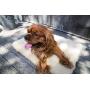 HuggleHounds Hugglefleece Dog Bed Mat, Plush Soft and Durable, Machine Washable Bed