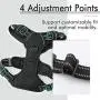 rabbitgoo Dog Harness & Tactical Bungee Dog Leash - Adjustable No Pull Soft Padded Dog Vest with Leash Clips (M) | Safety and Comfort Elastic Leads Rope for Military Dog Training rabbitgoo Dog Harness & Tactical Bungee Dog Leash - Adjustable No Pull Soft Padded Dog Vest with Leash Clips (M) | Safety and Comfort Elastic Leads Rope for Military Dog Training