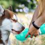 VividPaw Portable Dog Water Bottle for Walking with Poop Bag and Scooper Pet Travel Water Dispenser Leak Proof BPA Free Drinking Bowl for Large Medium Small Puppy Camping Hiking Travelling