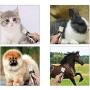 MroTech Dog Grooming Kit Clippers Rechargeable Cordless Cats Horse Grooming Clippers - Professional Pet Hair Clippers with Comb Guides for Dogs Cats Horses and Other House Animals Pet Grooming Kit