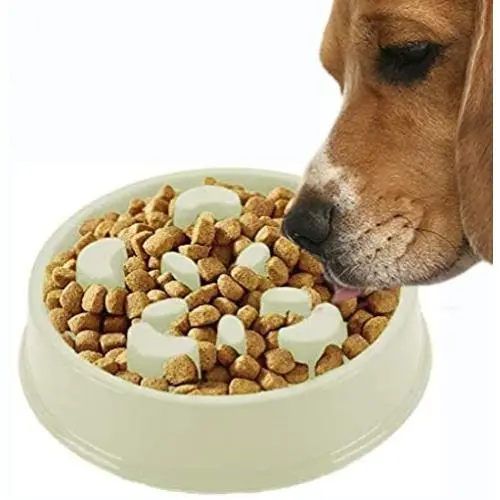Meric Slow Dog Feed Bowl, Pastel Green Color, Promotes Interactive, Slow Eating, Non-Slip Design, Controls Hunger, 1-Piece Meric Slow Dog Feed Bowl, Pastel Green Color, Promotes Interactive, Slow Eating, Non-Slip Design, Controls Hunger, 1-Piece