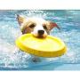 9 Inch Dog Frisbee Outdoor Indoor Fetch Toy Flying Floating Disc [Flying Disc Dog Fetch Toy – Floats in Water & Safe on Teeth] Dog Toys Medium Large Dog