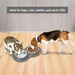 Kulmeo Double Dog Bowl Cat Food Bowls Stainless Steel Dog Food and Water Bowls with Non Skid Silicone Mat Spill Proof Small Puppy Bowl
