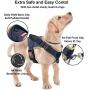 MUDINPET Dog Harness No Pull, Dog Vest Harness for Large Medium Small Puppy Dogs, Adjustable Comfort Fit Easy Control Walking Pet Harness with Handle …