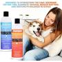 Panagenics | Pet Shampoo and Leave-in Conditioner Combination Set (16 Ounce Bottles) - Safe for All Animals, Unscented, Contains Citrus and Aloe