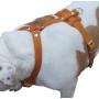 Genuine Leather Dog Harness, 29''-37'' Chest, 1'' Wide Straps, Doberman, Pitbull, Bullterrier