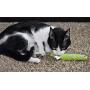 OurPets 100% North American Catnip Filled Cat Toys (Interactive Cat Toys for Indoor Cats, Kitten Toy, Cat Chew Toy & Catnip Toys for Cats) Great for Cats who enjoy Catnip & Interactive Cat Toys