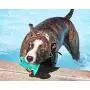 THINIDA Dog Toothbrush, Cactus-Shape Dog Chew Toy, Dental Care Dog Brushing Stick, Dog Teeth Cleaning Toy with Suction Cup for Small, Medium and Large Pets, Puppies and Dogs THINIDA Dog Toothbrush, Cactus-Shape Dog Chew Toy, Dental Care Dog Brushing Stick, Dog Teeth Cleaning Toy with Suction Cup for Small, Medium and Large Pets, Puppies and Dogs