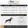 SMALLLEE_Lucky_Store New Soft Mesh Nylon Vest Pet Cat Small Medium Dog Harness Dog Leash Set