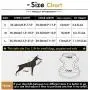 SMALLLEE_Lucky_Store New Soft Mesh Nylon Vest Pet Cat Small Medium Dog Harness Dog Leash Set SMALLLEE_Lucky_Store New Soft Mesh Nylon Vest Pet Cat Small Medium Dog Harness Dog Leash Set