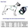 Mile High Life | Dog Cat Vest Harness | No Choke Pull | Easy Step-in | Breathable Soft Mesh Padding | Puppy Training Halter