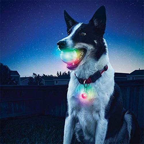 Led Lighting Glowing Rubber Pet Dog Ball Toy Outdoor Training