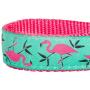 Blueberry Pet 10 Patterns Zoo Fun Dog Collars