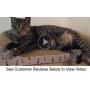 Feline Be Mine Cat Scratcher Cardboard Bed Scratching Pad Sofa Couch Corrugated Cardboard Kitten Lounge with Catnip