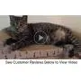 Feline Be Mine Cat Scratcher Cardboard Bed Scratching Pad Sofa Couch Corrugated Cardboard Kitten Lounge with Catnip Feline Be Mine Cat Scratcher Cardboard Bed Scratching Pad Sofa Couch Corrugated Cardboard Kitten Lounge with Catnip