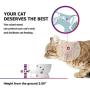 Y YHY Elevated Dog Bowls, Cermaic Dog Cat Bowls for Food and Water, Elevated Bowls for Medium Dogs and Cat, Prevent Neck Pain, Anti Slip Feet