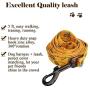 QQPETS Dog Harness Leash Set,Adjustable Vest Durable Heavy Duty Puppy Small Medium Large Dogs Perfect for Walking Running Training