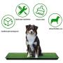 LOOBANI 35in x 23in Extra Large Grass Porch Potty Tray, 2-Packs Replacement Artificial Fake Grass Puppy Training Pads- Portable Dog Patio Potty for Balcony/Apartment Use