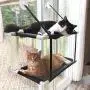 ZolooPet Cat Hammock Bed, Double Layers Cat Window Perch with Scratching Post, Holds Up to 60 Lbs, Large Size Resting Seat for Any Cats ZolooPet Cat Hammock Bed, Double Layers Cat Window Perch with Scratching Post, Holds Up to 60 Lbs, Large Size Resting Seat for Any Cats