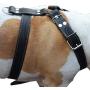 Black Genuine Leather Dog Harness, Large to XLarge. 33''-37'' Chest, 1.5'' Wide Straps, Rottweiler Bulldog