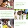 JIALWEN Dog Toothbrush Chew Toys Teeth Cleaning Toys Multifunction Puppy Molar Stick Dental Oral Care for Small Medium Dogs Pet JIALWEN Dog Toothbrush Chew Toys Teeth Cleaning Toys Multifunction Puppy Molar Stick Dental Oral Care for Small Medium Dogs Pet
