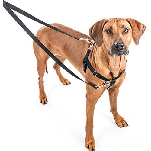 2 Hounds Freedom No-Pull Dog Harness Training Package: Velvet Padding, Multi-Function & USA Made! (Leash Included), Medium (5/8” Wide), Green