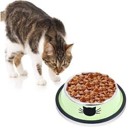 Legendog 3PCS Pet Bowl Stainless Steel Non-Skid Base Dog Bowl Cat Bowl with 2 Food Scoop