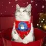 AWOOF Cat Christmas Toys, Christmas Stocking Cat Toy Gift Set 12Pcs Cat Toys Set for Kitten with Pet Cat Christmas Bandana AWOOF Cat Christmas Toys, Christmas Stocking Cat Toy Gift Set 12Pcs Cat Toys Set for Kitten with Pet Cat Christmas Bandana