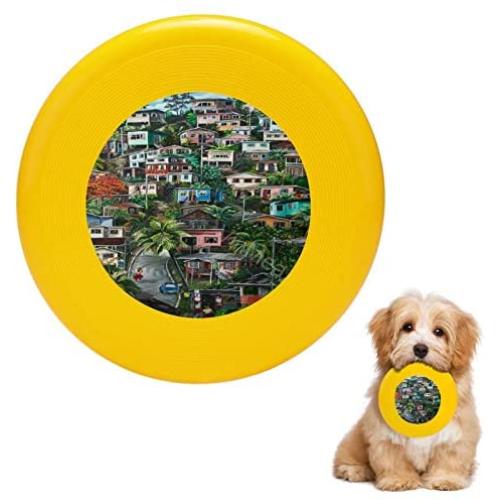 Pet Frisbee Flying Disc Dog Toy - Multifunction The Hill Trinidad Karin Kelshall Best