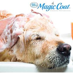 Four Paws Magic Coat Natural Dog Shampoo, Honey & Oatmeal, 16 Ounces