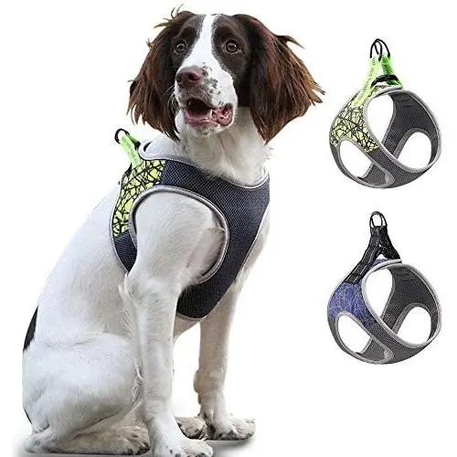 Reflective Puppy Harness, Small Dog Harness Adjustable Escape Proof Vest, Soft Mesh Padded Safety Pet Vest for Walking Training Running, Suitable for Small Medium Dog Kitten Cats Reflective Puppy Harness, Small Dog Harness Adjustable Escape Proof Vest, Soft Mesh Padded Safety Pet Vest for Walking Training Running, Suitable for Small Medium Dog Kitten Cats
