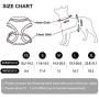 WONDERPUP Reflective Dog Cat Harness No Pull Soft Mesh Adjustable Safe Harness for Small and Medium