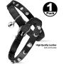Dog Puzzle Toy for Pets and Leather Cat Collar Moon