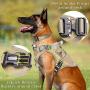 WINSEE Tactical Dog Backpack, Saddle Bag with Harness and Collar, Rucksack with 3X Metal Buckle, Working Pet MOLLE Vest with Handle & Loop Panel, No Pull Training Military Harness with Leash Clip