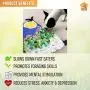 Large Pet Snuffle Mat for Dogs - Puppy Play Mat - Pet Feeding Mat - Dog Snuffle Mat for Large & Small Dogs - Interactive Dog Enrichment Toys - Dog Activity Stimulation Digging Toy - Dog Treat Puzzle Large Pet Snuffle Mat for Dogs - Puppy Play Mat - Pet Feeding Mat - Dog Snuffle Mat for Large & Small Dogs - Interactive Dog Enrichment Toys - Dog Activity Stimulation Digging Toy - Dog Treat Puzzle