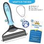 Dog Brush and Cat Brush – 2 Sided Pet Grooming Tool for Deshedding, Mats & Tangles Removing – No More Nasty Shedding and Flying Hairs