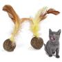nobrand Pet Tooth 2 PCS B12208 Catnip Ball Toy Clean Clean Tooth Molar Feather Ball