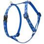 Lupine 1/2 Inch Dapper Dog Roman Harness for Small Dogs