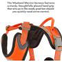 Hurtta Weekend Warrior Dog Harness, Neon Orange, 32-39 in