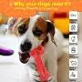 Dog Chew Toys for Aggressive Chewers Large Breed Tough Toothbrush Bone for Medium Large Dogs Indestructible Rubber Tug Sticks for Puppy Teeth Cleaning Dental Oral Care Puzzle Toys for Dog Gifts (S) Dog Chew Toys for Aggressive Chewers Large Breed Tough Toothbrush Bone for Medium Large Dogs Indestructible Rubber Tug Sticks for Puppy Teeth Cleaning Dental Oral Care Puzzle Toys for Dog Gifts (S)