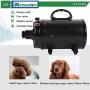 Mxmoonant 2000W 3.2HP Dog Dryer Pets Hair Dryer Stepless Speed Temp Adjustable High Velocity Dog Cat Hair Dryer Professional Pet Grooming Blower