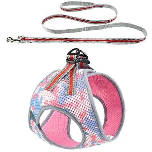 DYAprWu Air-mesh Dog Harness and Leash Set Step-in Vest Harness and Leash Set Escape-Proof Harness and Leash Set for Small Medium Dodgs and Cats
