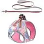 DYAprWu Air-mesh Dog Harness and Leash Set Step-in Vest Harness and Leash Set Escape-Proof Harness and Leash Set for Small Medium Dodgs and Cats