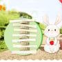 avbxcuecc Pet Chew Molar Sticks Sweet Bamboo Grass Cake Teeth Care Toys Improves Dental Supplies