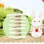 avbxcuecc Pet Chew Molar Sticks Sweet Bamboo Grass Cake Teeth Care Toys Improves Dental Supplies avbxcuecc Pet Chew Molar Sticks Sweet Bamboo Grass Cake Teeth Care Toys Improves Dental Supplies
