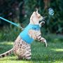 PUPTECK Checkered Frills Soft Mesh Dog Vest Harness Puppy Padded Pet Harnesses for Cat Small Dogs